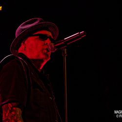 Rock A L'Usine 2024
TREPONEM PAL at Usine, Istres, FRANCE, 31/05/2024
Florent "MrCrash" B.